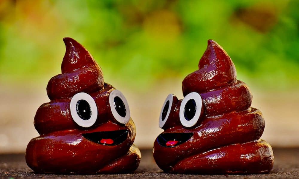 Nyt tutustutaan omituisiin ja hieman ällöttäviinkin hajuvesien ainesosiin.