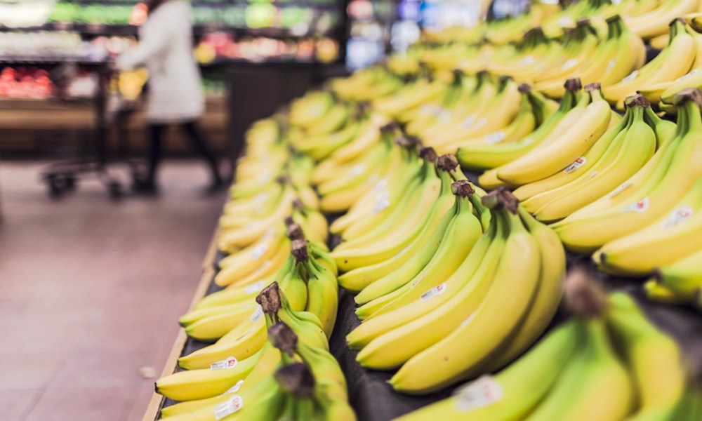 Oudoimmissa uutisissa kerrotaan kokaiinilastista, joka jaeltiin banaanilaatikoissa tšekkiläisiin ruokakauppoihin.
