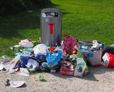 Oudoimmissa uutisissa kerrotaan roska-astioista, jotka tuhmia puhumalla viettelevät ihmisiä roskaamisen lopettamiseen.