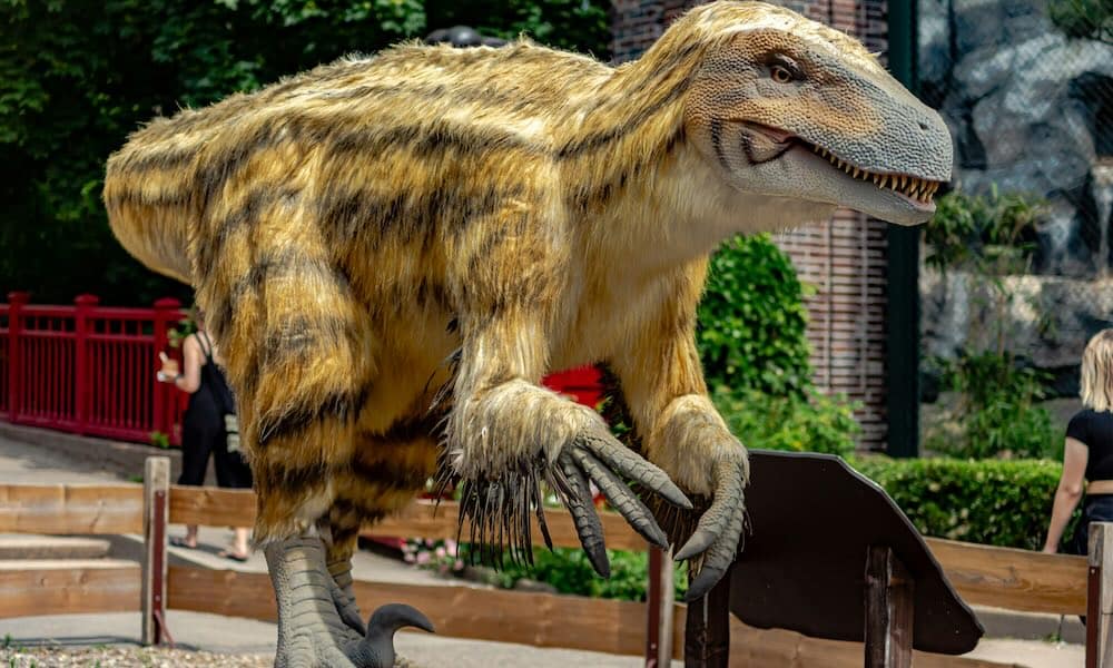 Tässä tulee listallinen faktoja dinosauruksista, jotka ovat käsittämättömän samanlaisia kuin nykypäivän dinot eli linnut.