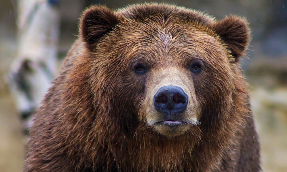Olympialaiset alkavat ensi viikolla, mutta nyt otetaan katsaus menneiden kisojen erikoisiin tapahtumiin.